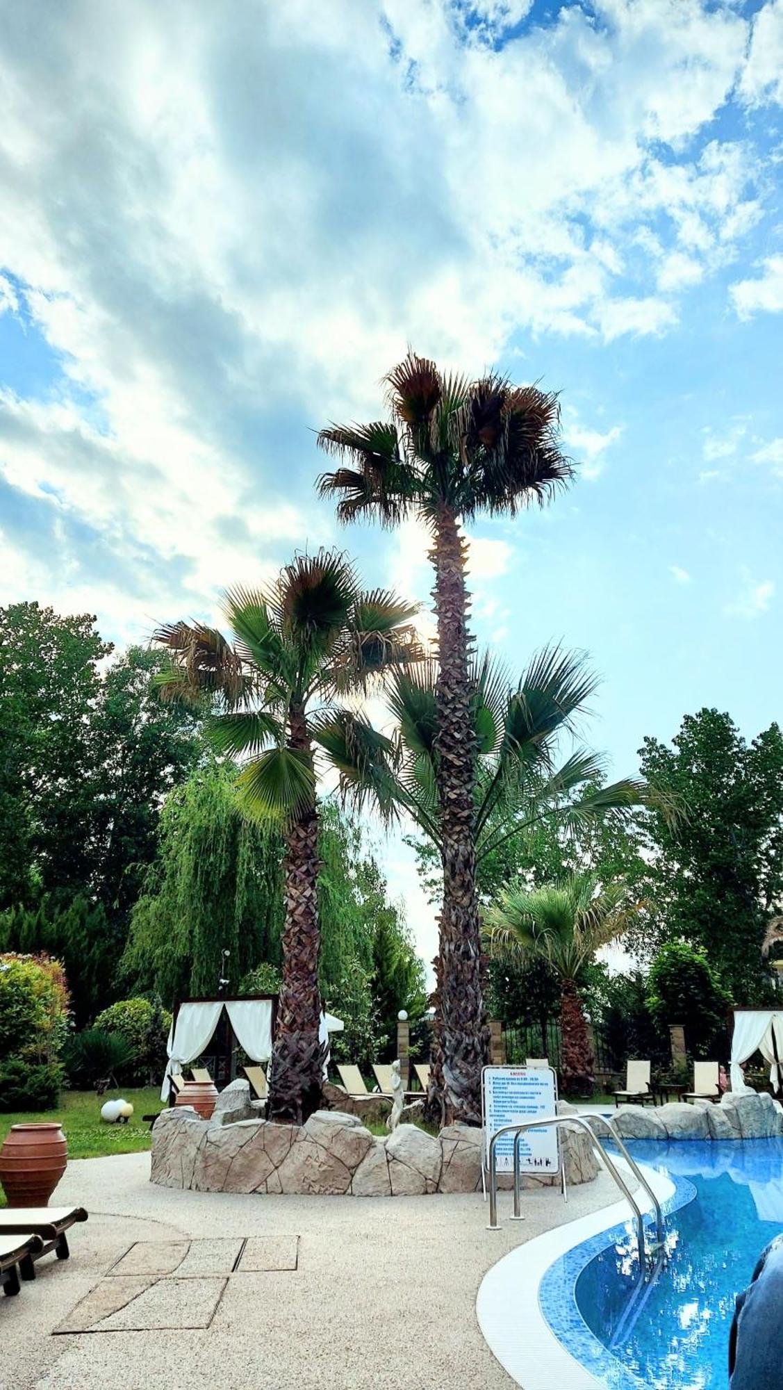 Апартаменты Aphrodite Roce Sunny Beach Exterior photo